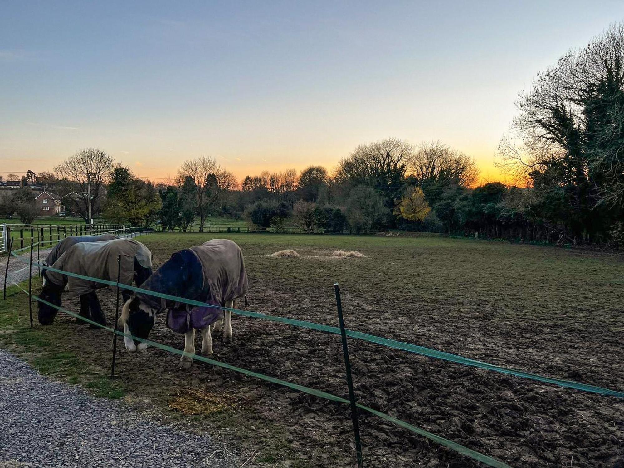 South Downs Lodge Droxford エクステリア 写真